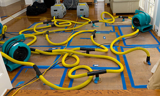 Professional Water Damage Repair technician working in Petersburg, TX